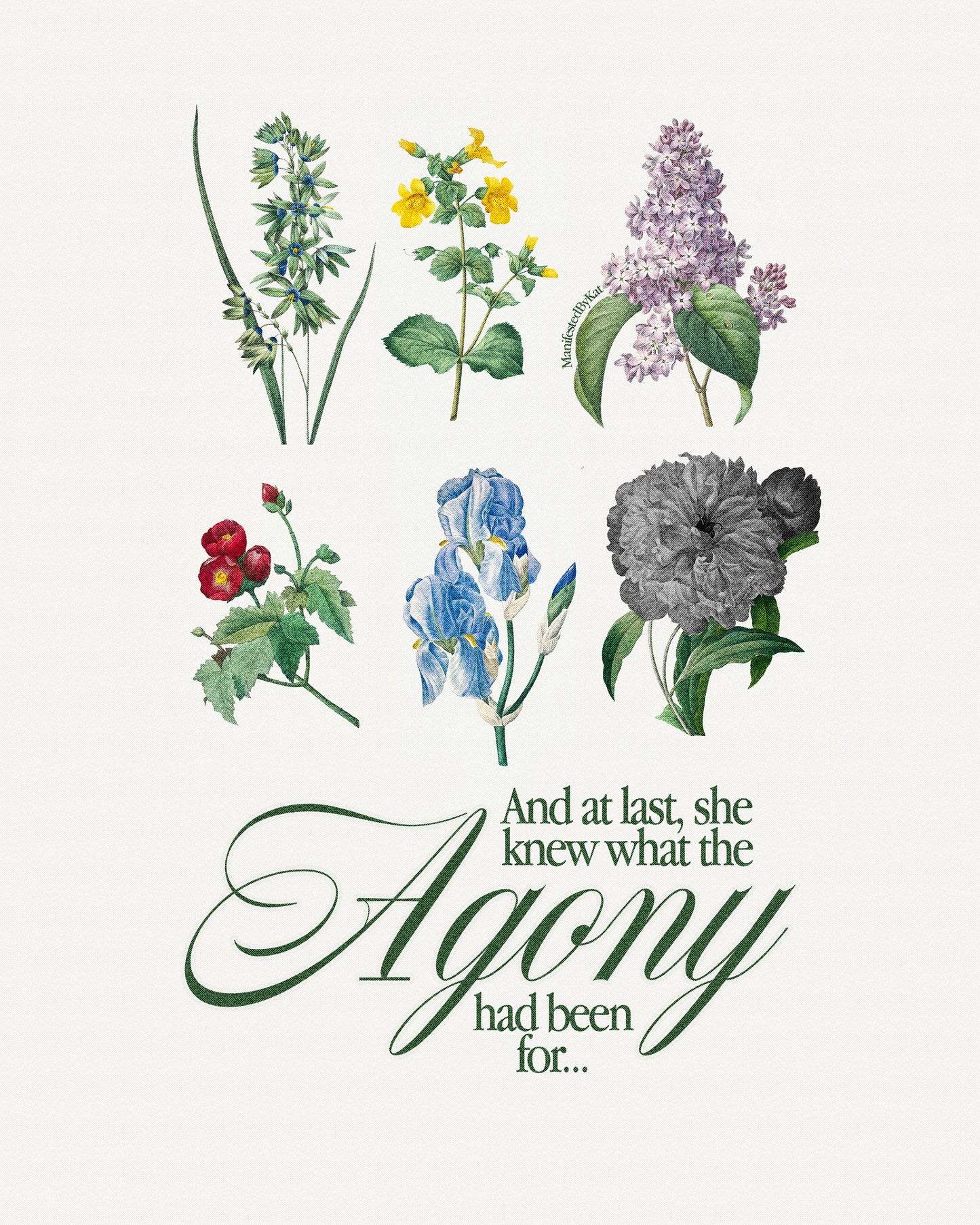 The Manuscript by Taylor Swift Poster Print