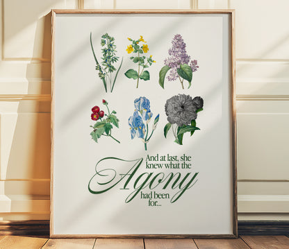 The Manuscript by Taylor Swift Poster Print